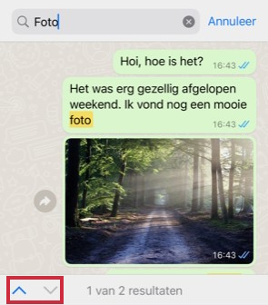 Zoeken binnen een WhatsApp-gesprek op iPhone